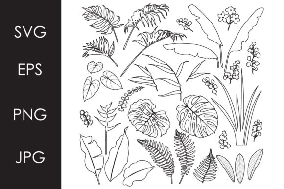 Download Tropical Leaves and Flowers Outline Set - Flower Collection