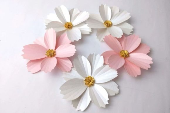 Download Cosmos Paper Flowers - Flower Collection