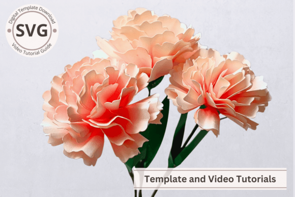 Download Paper Flower Two Tone Carnation Template - Flower Collection