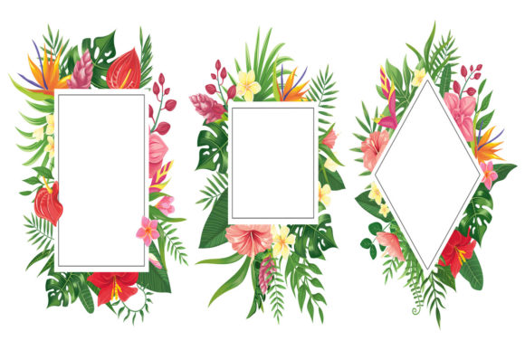 Download Tropical Flower Frames - Flower Collection