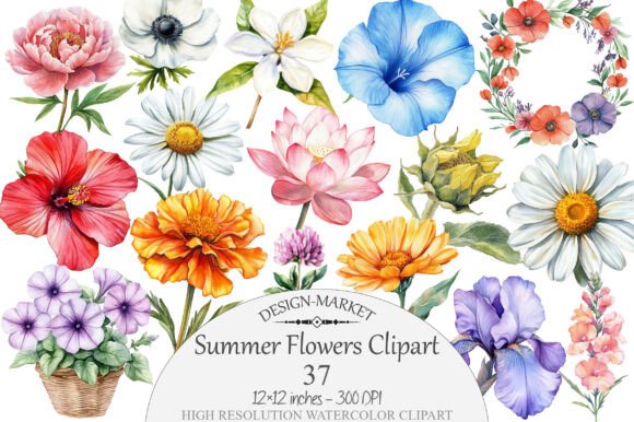 Download Watercolor Summer Flowers Clipart - Flower Collection